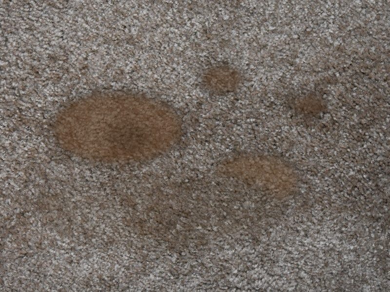 Soiled carpet before cleaning