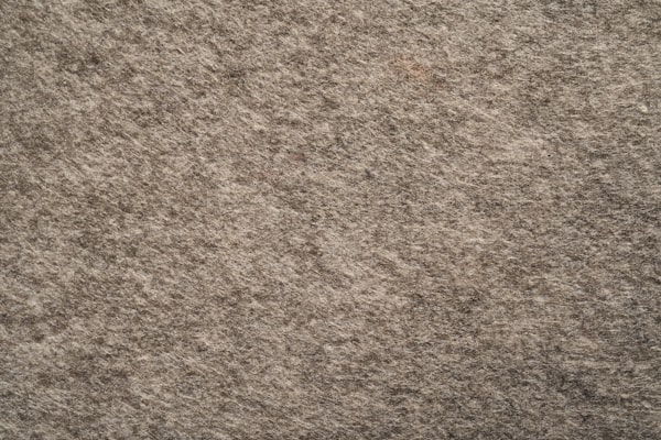 Freshly cleaned wall-to-wall carpet